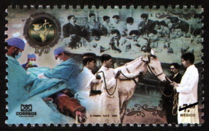 Imagen de 170 Años de Educación Veterinaria en México y América
