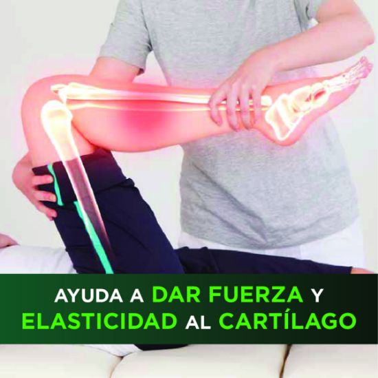 Imagen de REGEMAX 1 Frasco de 60 cápsulas