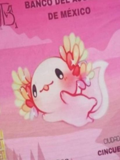 Imagen de Combo Cuates TOALLA DE BAÑO O PLAYA Kawai Fiusha AJOLOTITO BILLETE