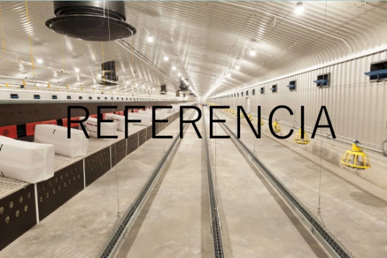 Imagen de Set De 40 Lámparas Led 10w, Ip66, Greengage Alis Para Granja