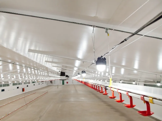 Imagen de Set De 40 Lámparas Led 10w, Ip66, Greengage Alis Para Granja