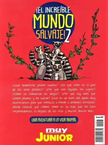 Imagen de Revista Muy Interesante Junior 