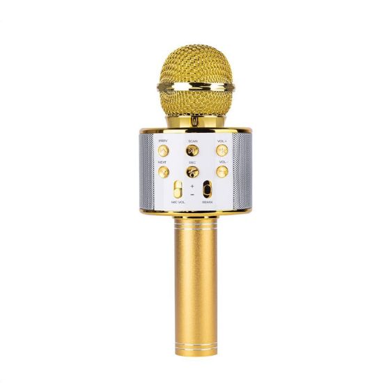 Imagen de Micrófono Inalambrico Karaoke