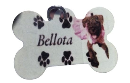 Imagen de Placas de perrito con su foto paquete 3 