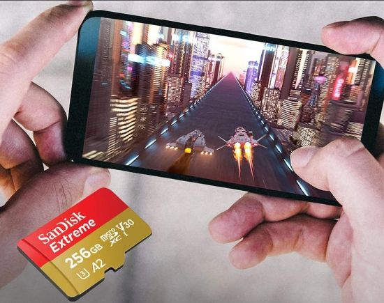 Imagen de Memoria Micro SD 256gb
