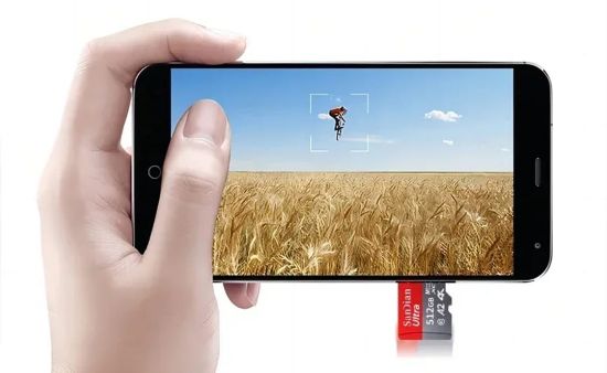 Imagen de Memoria Micro SD 1Tb 