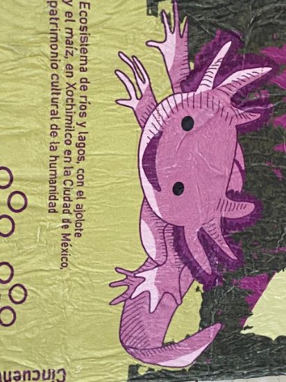 Imagen de Ricolandia Manta frazada Billete 50 Ajolotito Morado110 x 160 largo