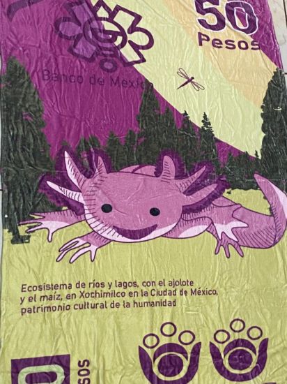 Imagen de Ricolandia Manta frazada Billete 50 Ajolotito Morado110 x 160 largo