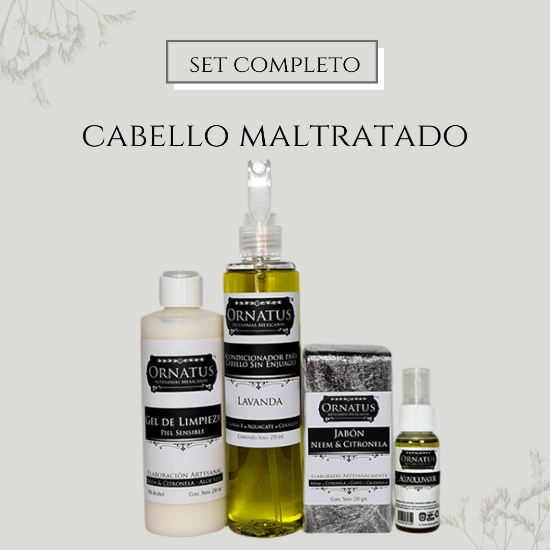 Imagen de Set para cabello maltratado 