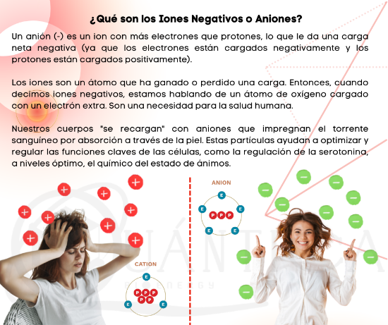 Imagen de TARJETA BIOENERGÉTICA