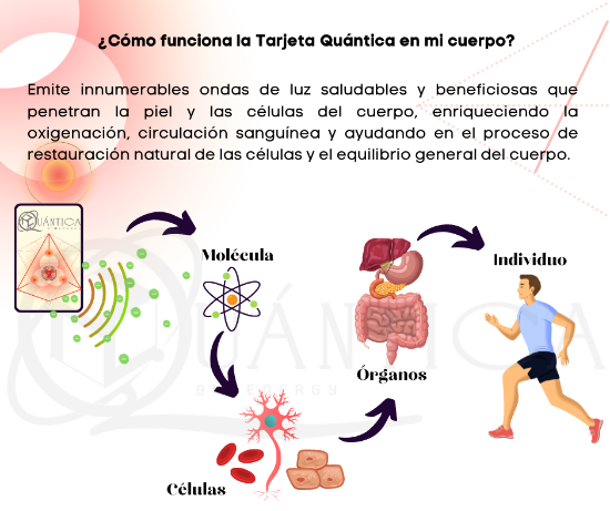 Imagen de TARJETA BIOENERGÉTICA