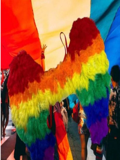 Imagen de Alas Ángel Plumas De Colores Multicolor Bandera Lgbt Marcha Del Orgullo Pride Gay