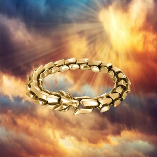 Imagen de Pulsera cadena joyería mano dorado Acero Inoxidable Dragón Escamas adorno decoración