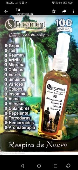 Imagen de EUCAMENT (Esencia de Eucalipto)