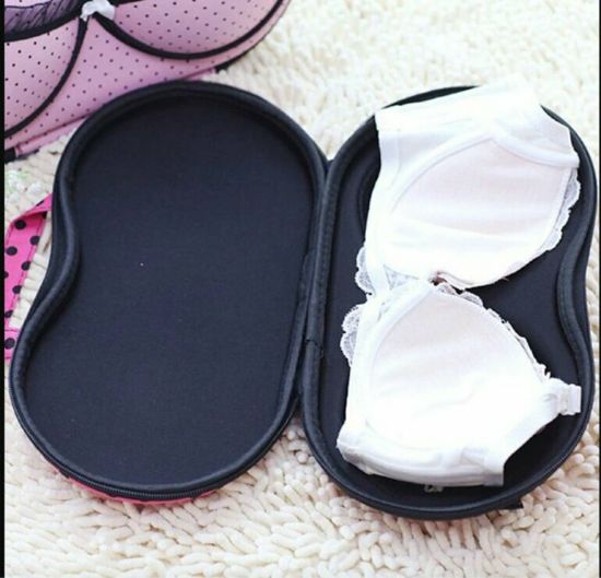 Imagen de Maleta Organizador Porta Brasier
