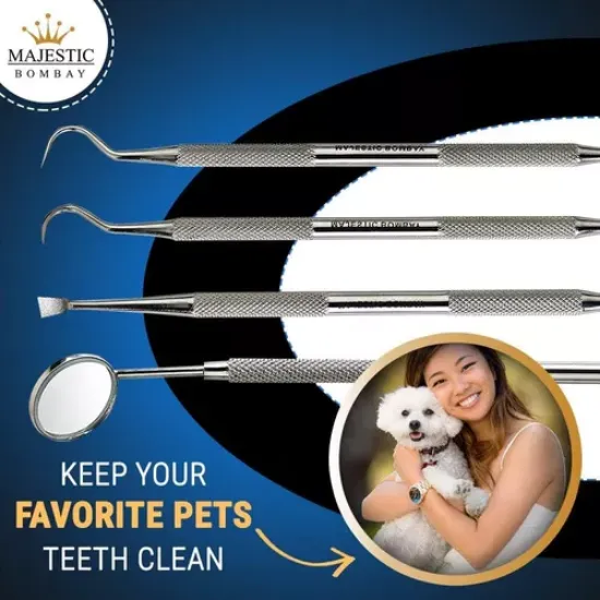 Imagen de Set Higiene Dental Herramientas Uso Personal Prof Acero Inox