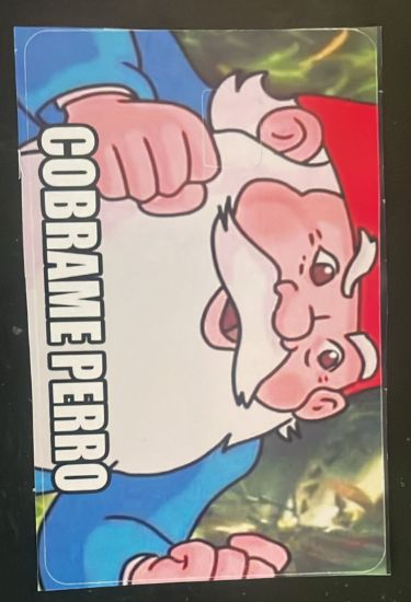 Imagen de Sticket para tarjeta de credito o debito