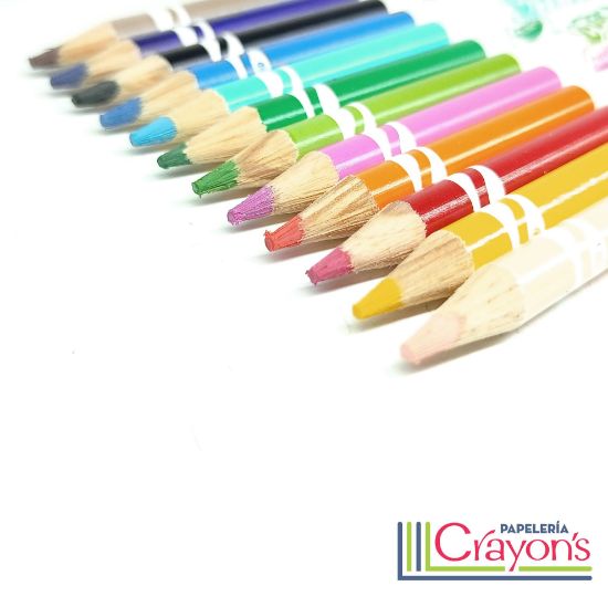 Imagen de Colores Crayola Borrables 12 piezas