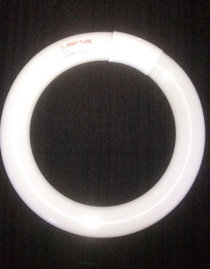 Imagen de 4 Lámparas De Repuesto Circular Lamptan, 22w T9, Blanco Cálido,  De 21 cm. De ⌀