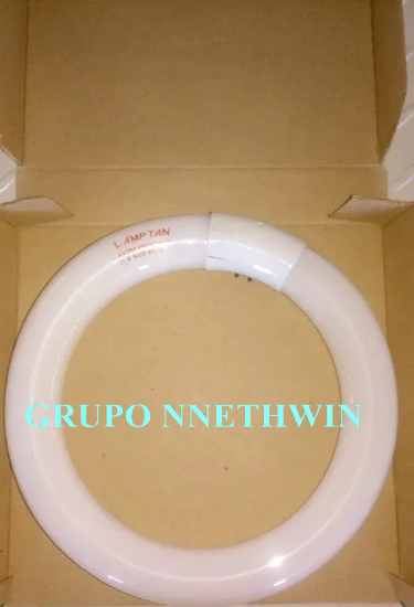 Imagen de 4 Lámparas De Repuesto Circular Lamptan, 22w T9, Blanco Cálido,  De 21 cm. De ⌀