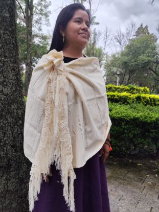 Imagen de Rebozo 