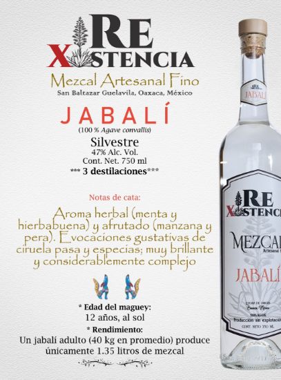 Imagen de Mezcal JABALÍ