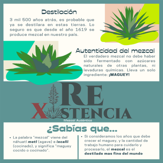 Imagen de Mezcal ARROQUEÑO