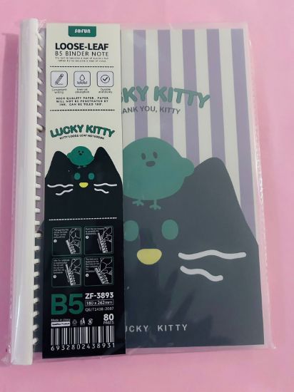 Imagen de CUADERNO TIPO CARPETA  