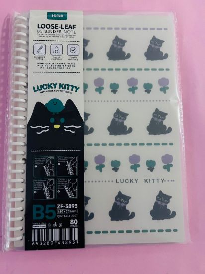 Imagen de CUADERNO TIPO CARPETA  