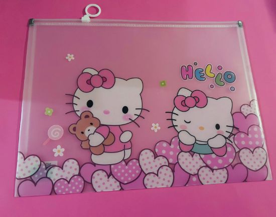 Imagen de DOCENA DE FOLDERS ZIPLOC