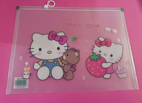 Imagen de DOCENA DE FOLDERS ZIPLOC