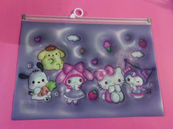 Imagen de DOCENA DE FOLDERS ZIPLOC