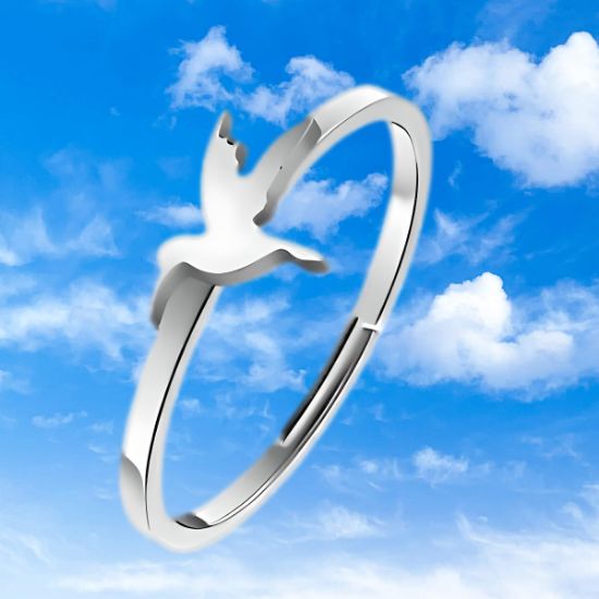 Imagen de  1 Anillo ACERO Fino Colibri Del. M3D Ajustable Acero Color Plata Alta  Durabilidad LOPI/$