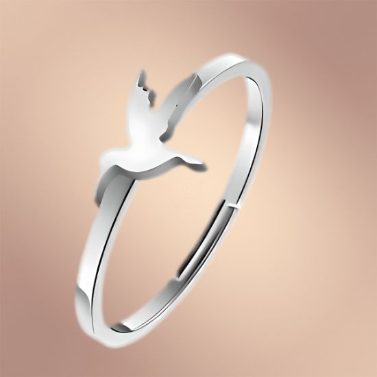Imagen de  1 Anillo ACERO Fino Colibri Del. M3D Ajustable Acero Color Plata Alta  Durabilidad LOPI/$