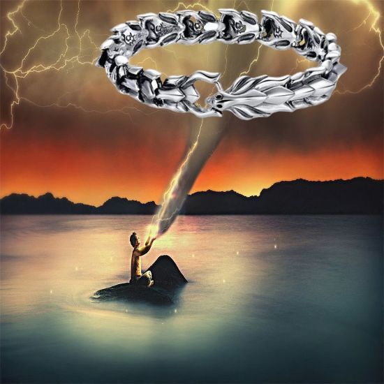 Imagen de Pulsera cadena joyería mano brazalete plata Acero Inoxidable Dragón Escamas Regalo hombre mujer