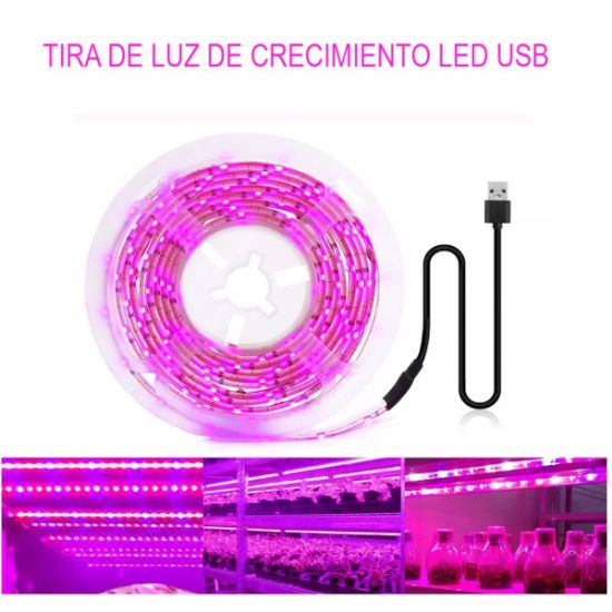 Imagen de Luz Led USB de 5V cultivo plantas lámpara Phyto espectro completo 2m semillas invernadero flores