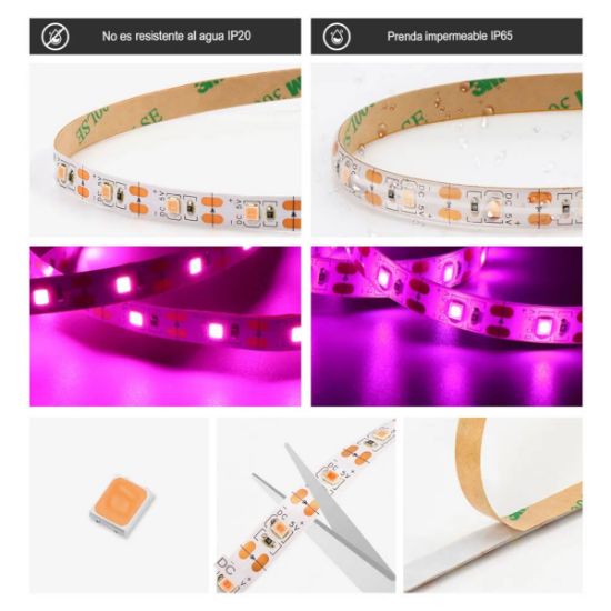Imagen de Luz Led USB de 5V cultivo plantas lámpara Phyto espectro completo 2m semillas invernadero flores