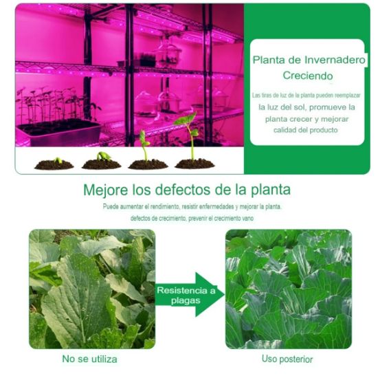 Imagen de Luz Led USB de 5V cultivo plantas lámpara Phyto espectro completo 2m semillas invernadero flores