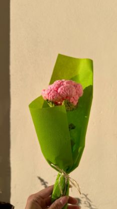 Imagen de Rosa eterna 