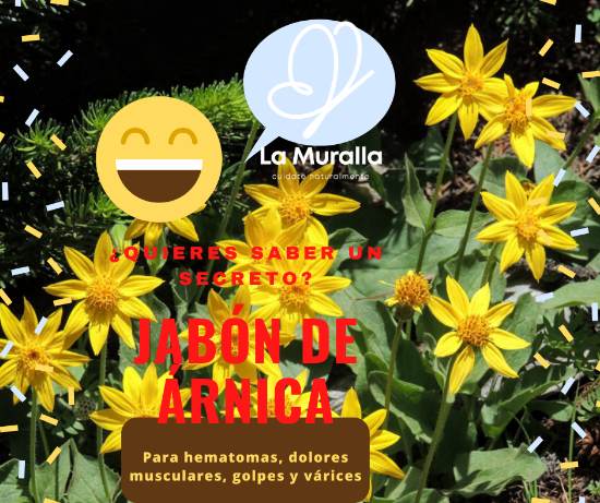 Imagen de Jabón artesanal de Árnica La Muralla 100 grs aprox.