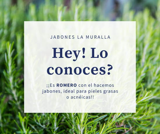Imagen de Jabón artesanal de Romero La Muralla 100 grs aprox.