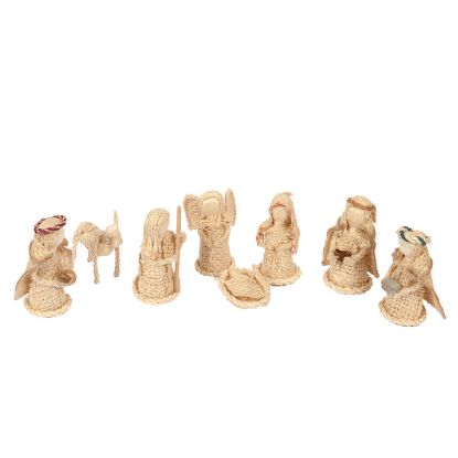 Imagen de Nacimiento de ixtle