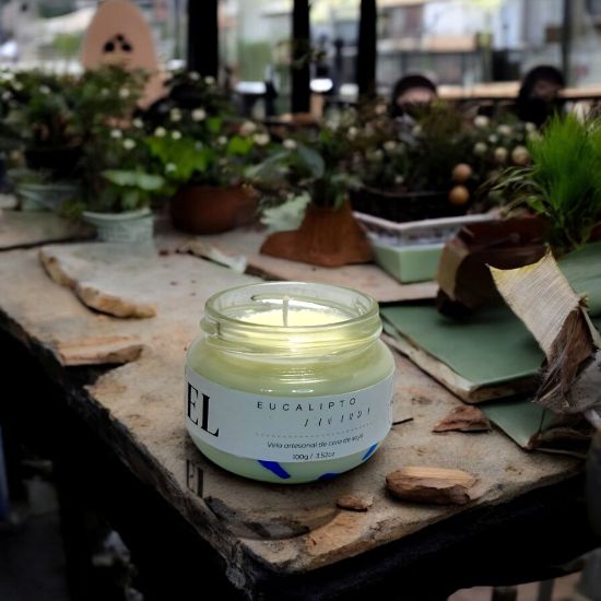 Imagen de Vela Artesanal y Aromática – Eucalipto y Lavanda 100g