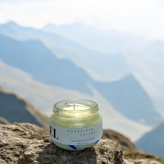 Imagen de Vela Artesanal y Aromática – Eucalipto y Lavanda 100g