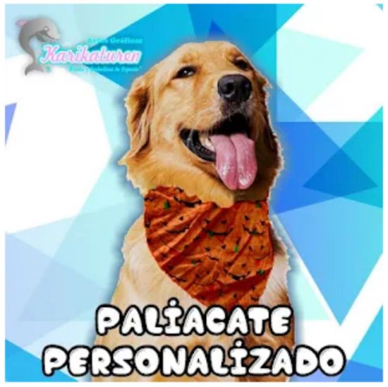 Imagen de Paliacate para Perro