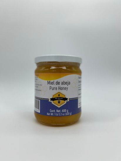 Imagen de MIEL DE ABEJA MULTIFLORAL