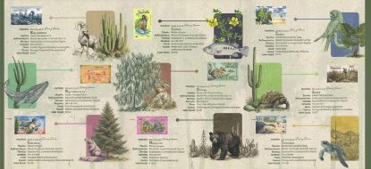 Picture of Tríptico "De la A a la Z Flora y Fauna de México"